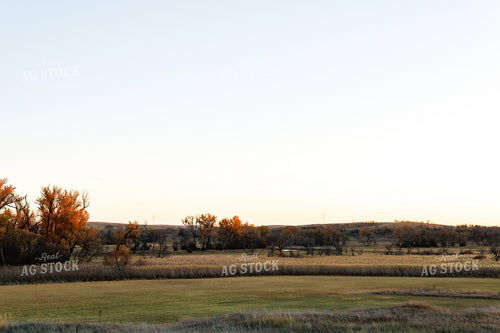 Rural Landscape 123005