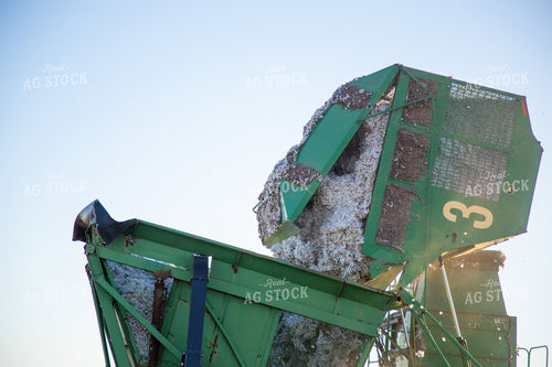 Unloading Harvested Cotton 208106