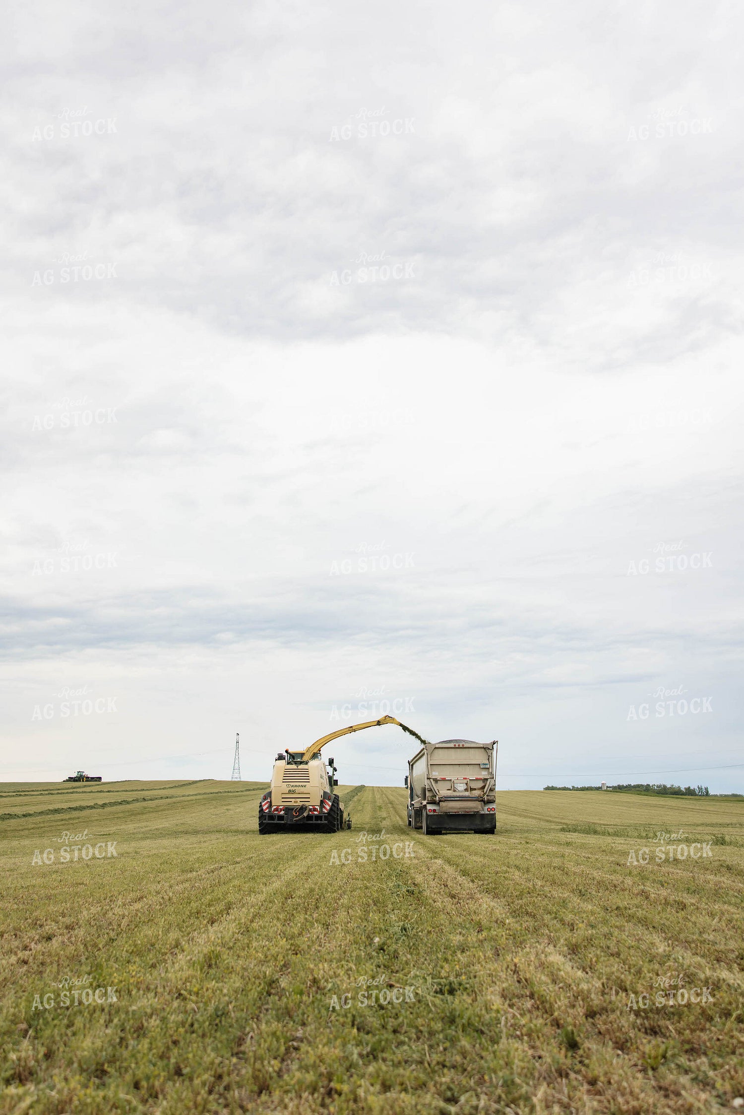 Harvesting Haylage 152794