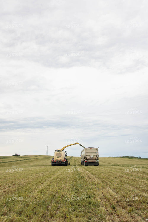 Harvesting Haylage 152794