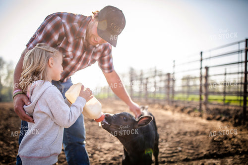 Rancher and Daughter Feeding Calf 285036
