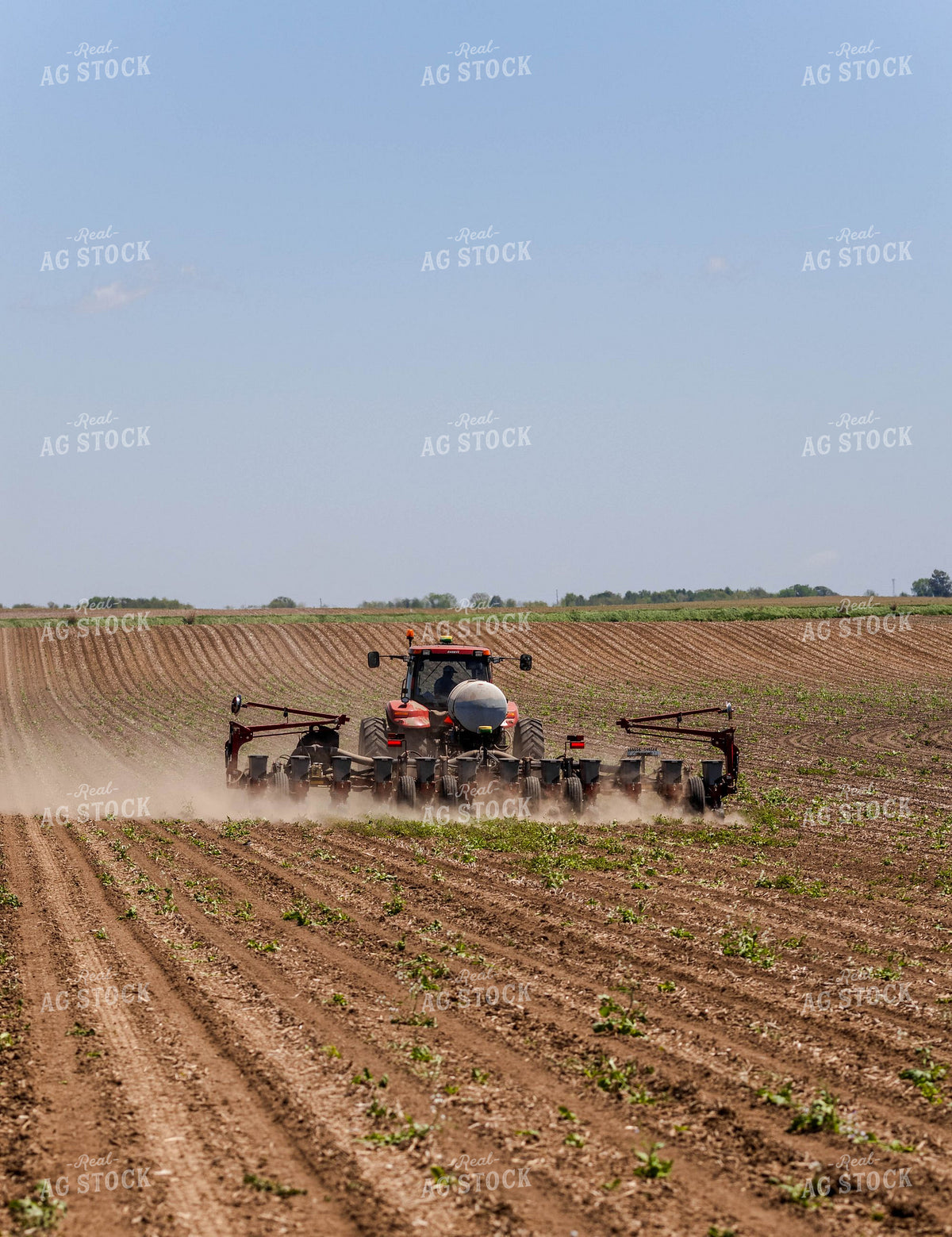 Case IH Tractor Pulling Multi-Row Planter Across Open Field in Spring 409022