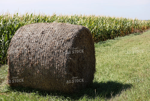 Hay Bales 141756