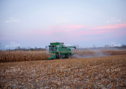 Corn Harvest 132107