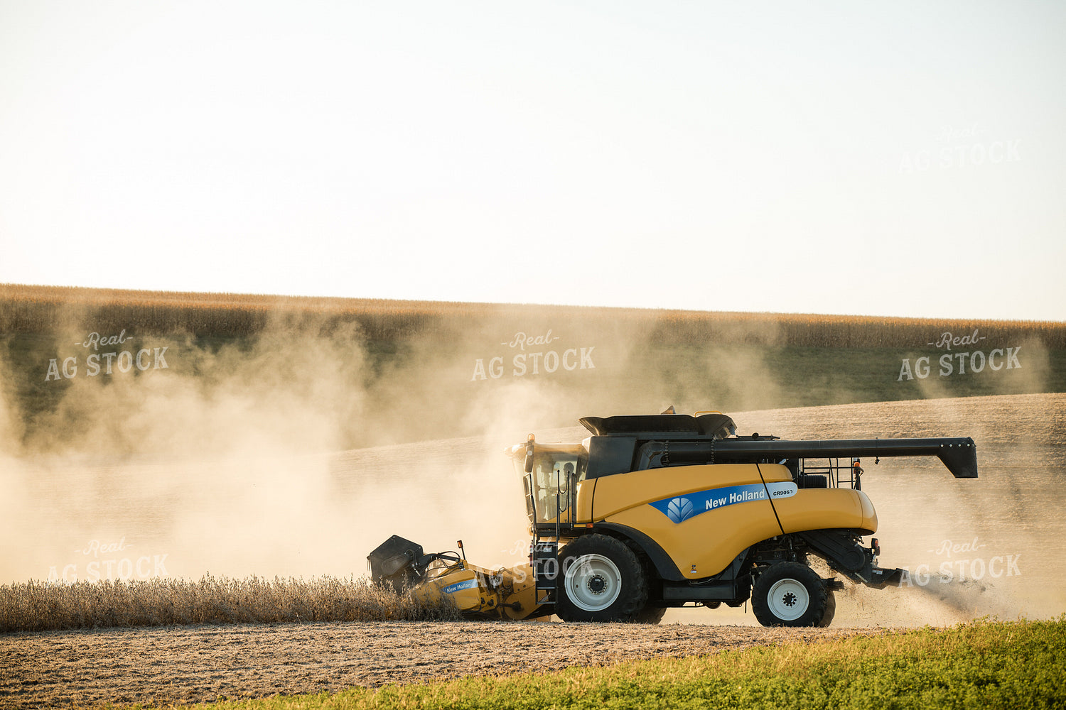Soybean Harvest 215119