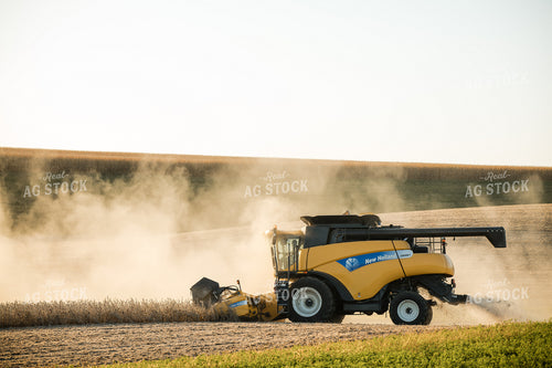 Soybean Harvest 215119