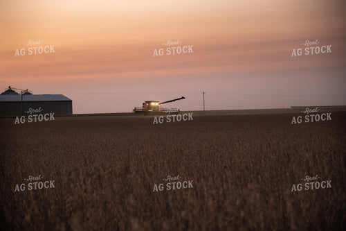 Combine Harvesting Soybeans at Sunset 25799