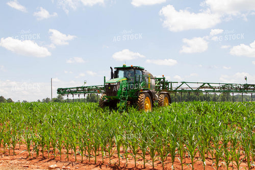 Sprayer with Y-Drop Nitrogen in Field 79051