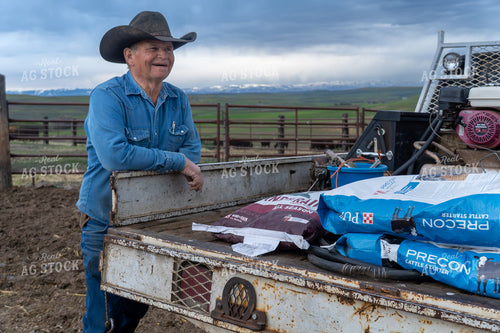 Farmer Feeding Cattle 65451