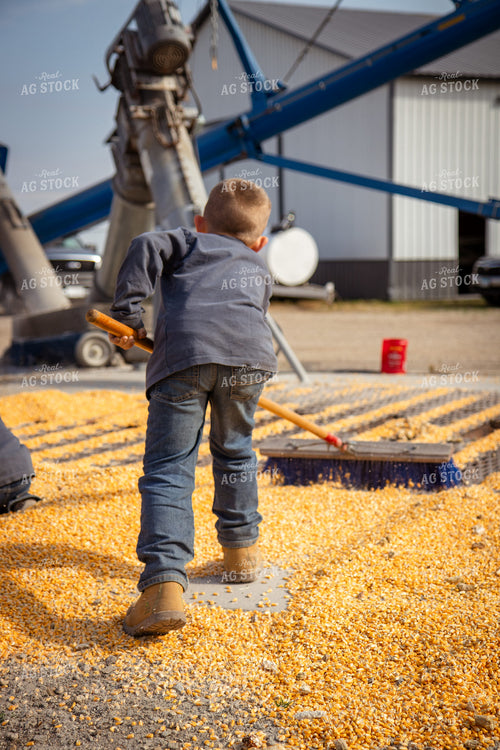 Farm Kid Sweeping Corn into Grain Pit 268110