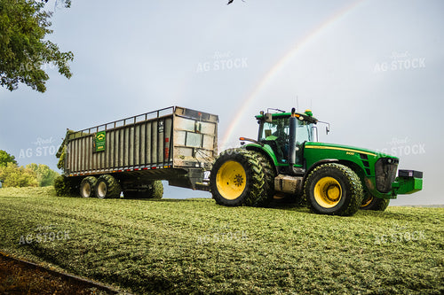 Storing Corn Silage 272067