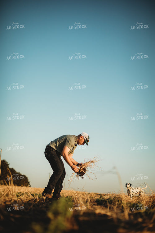 Farmer Agronomist with Shovel in Soybean and Rye Cover Crop Field 5882