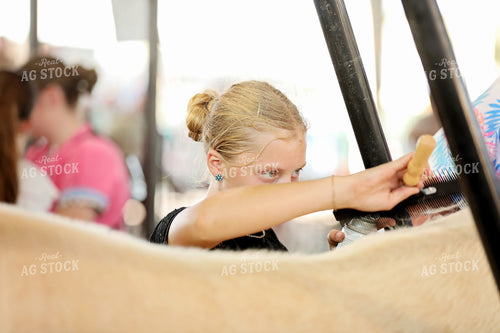 Prepping for Cattle Show 127124