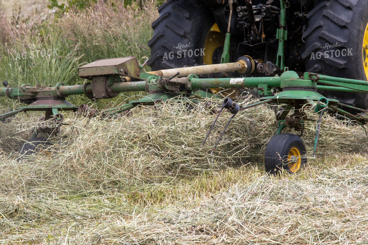 Hay Field 52165