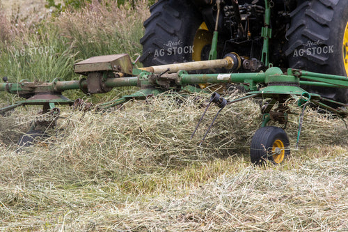 Hay Field 52165