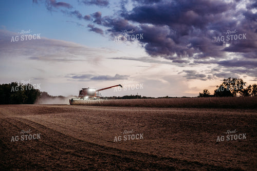 Soybean Harvest 281116