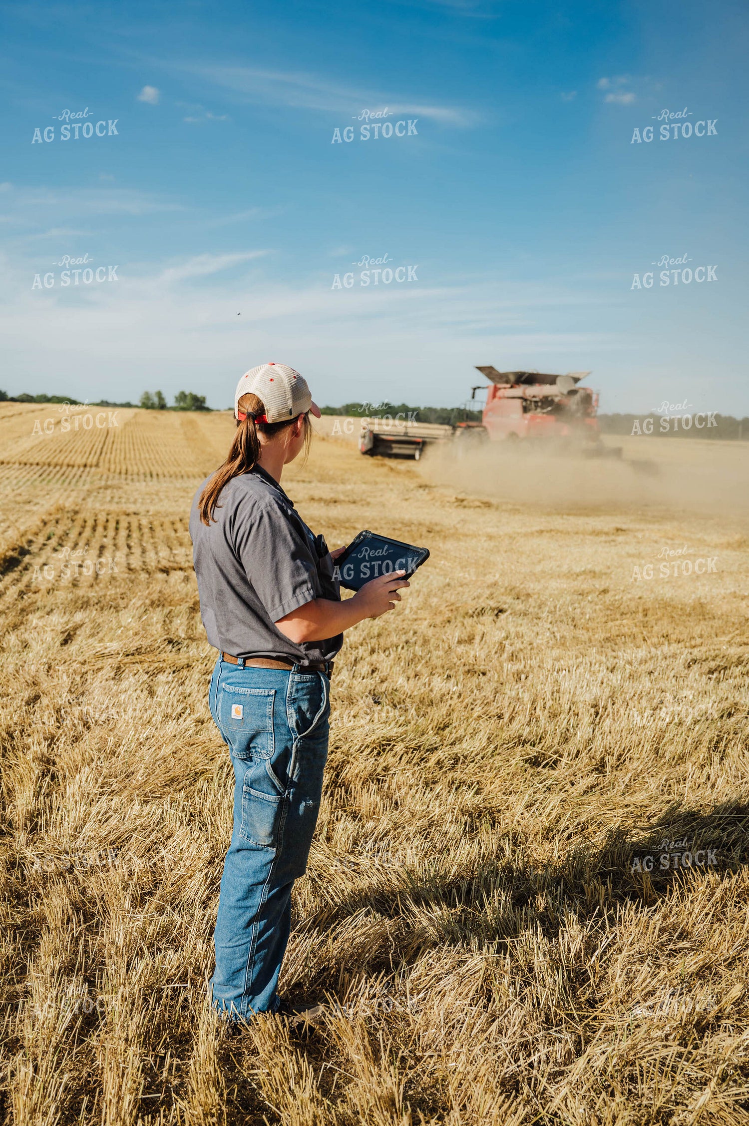 Female Farmer Using Tablet in Field 115224