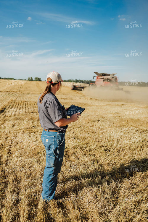 Female Farmer Using Tablet in Field 115224