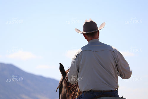 Rancher on Horseback 102135