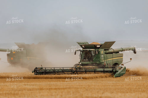 Wheat Harvest 187216