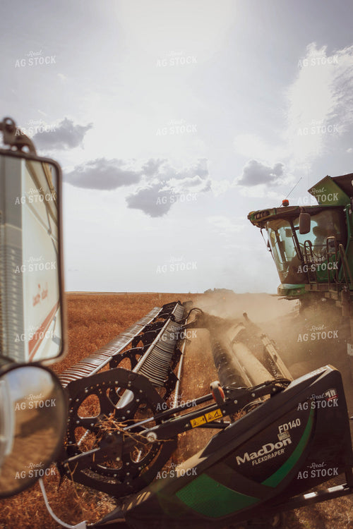 Canola Harvest 187253