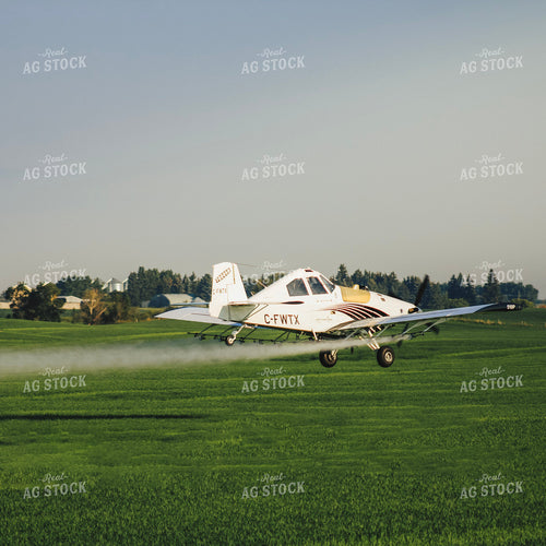 Crop Duster 187006