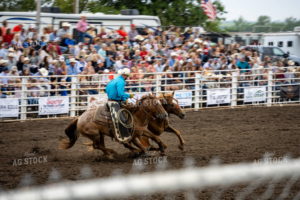 Rodeo 65961