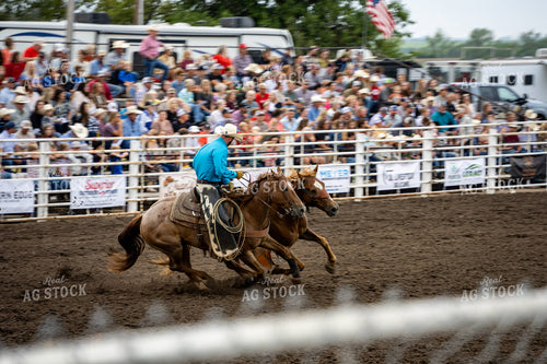 Rodeo 65961