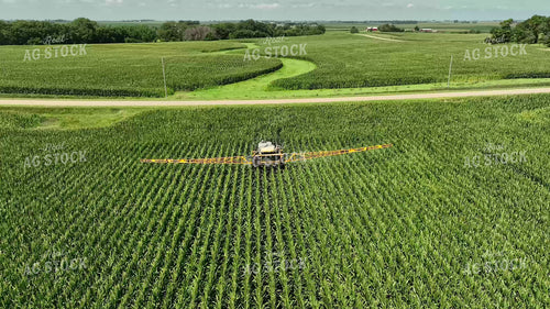 Spraying Corn 274061
