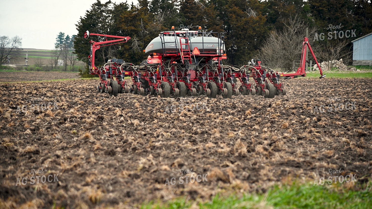 Planting into Tilled Cover Crops 25133