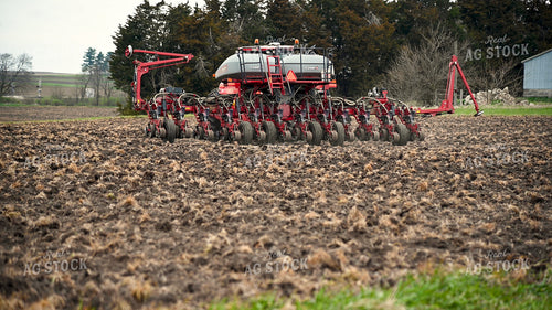 Planting into Tilled Cover Crops 25133