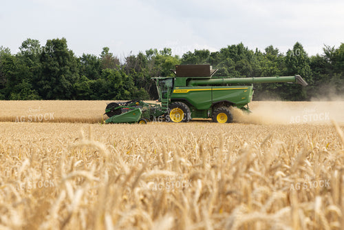 Wheat Harvest 79814