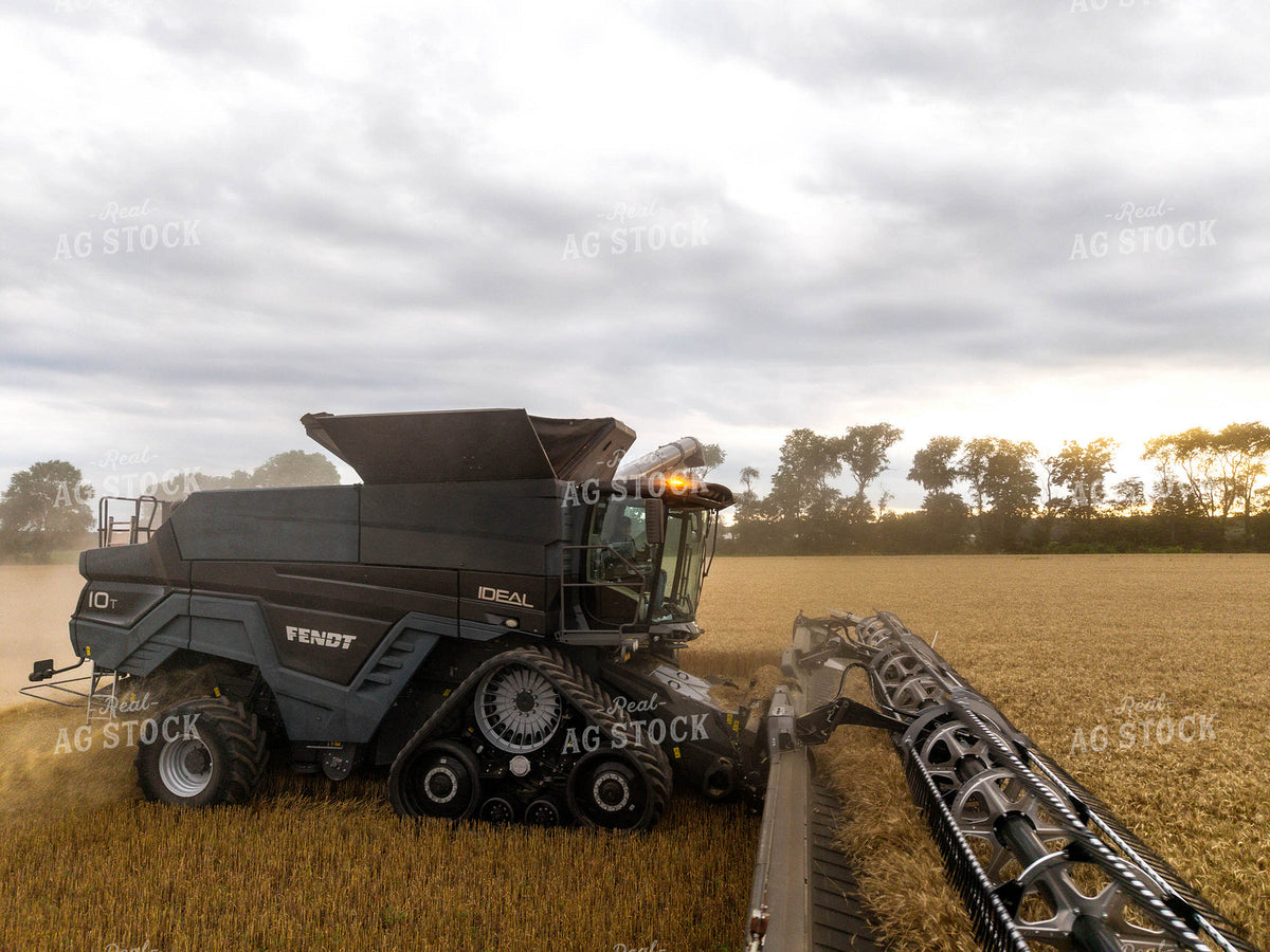 Wheat Harvest 115978