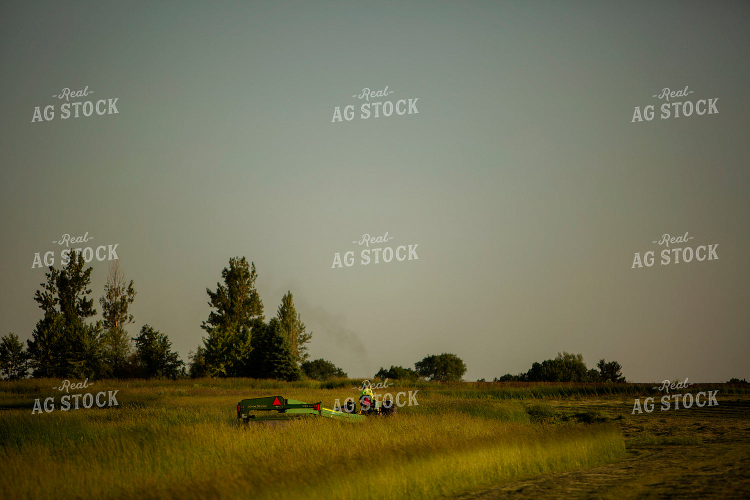 Cutting Hay 4945