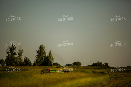 Cutting Hay 4945
