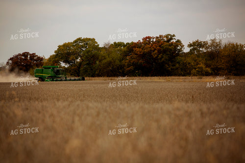 Harvest 2616