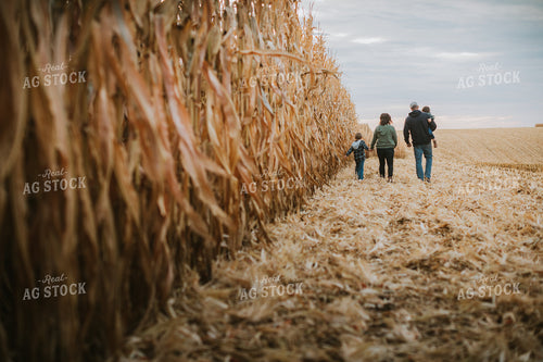 Farm Family in Corn Field 6940