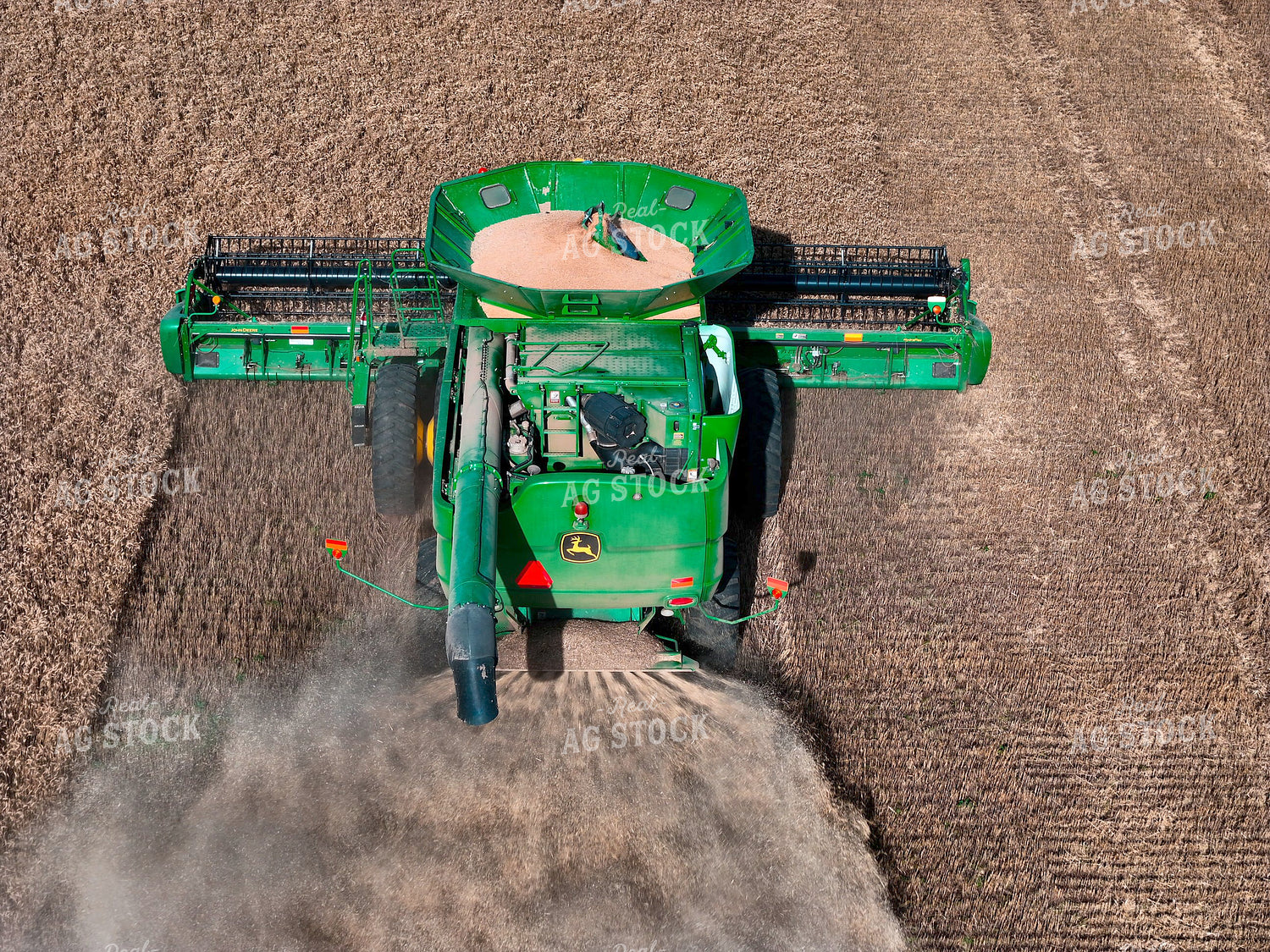 Harvesting Wheat 239615