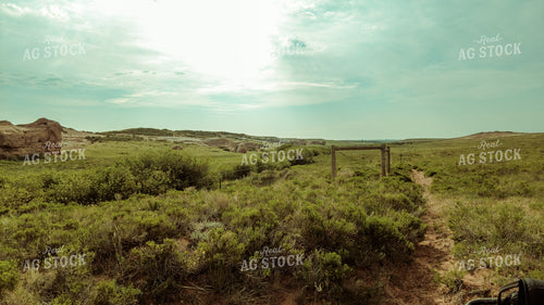 Scenic Pasture 58030