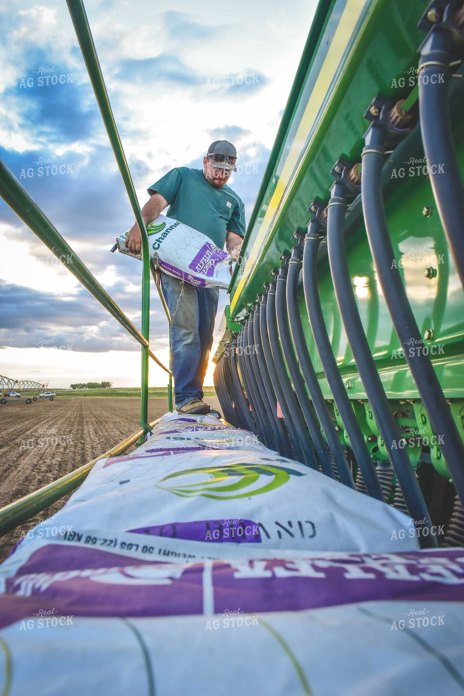 Loading Drill with Alfalfa Seed 56070