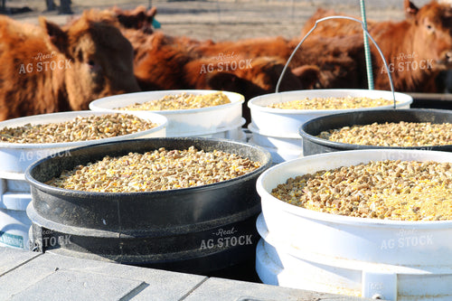 Feed Buckets 214005
