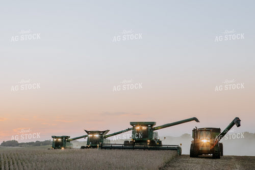 Soybean Harvest 77293
