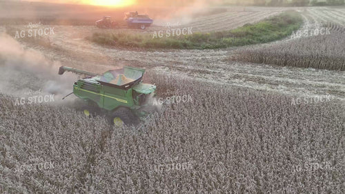 Aerial of Corn Harvest 149126