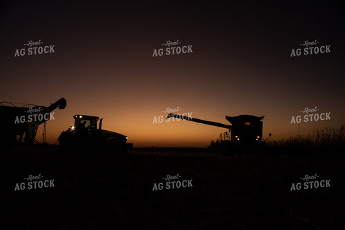Corn Harvest at Dusk 76308
