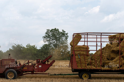 Baling Straw 50140
