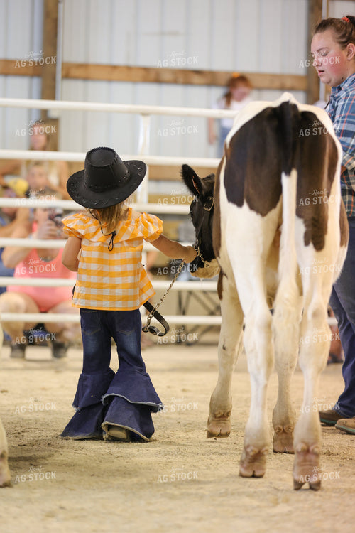 Young Girl with Show Calf 52456