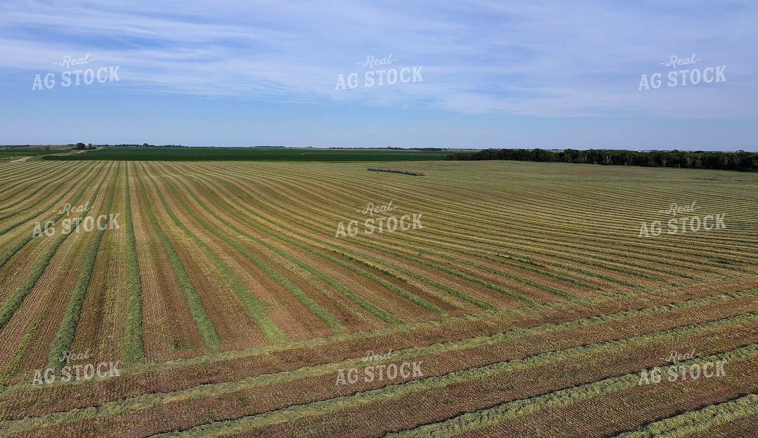 Cut Hay Field 141310