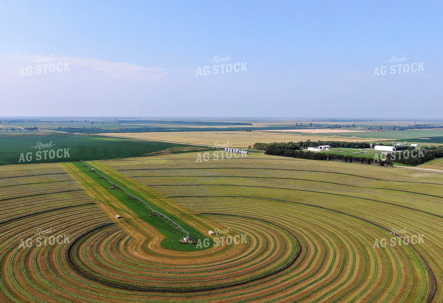 Irrigated Hay Field 141022