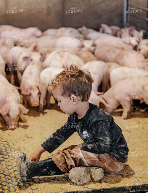 Farm Kid with Pigs 289067