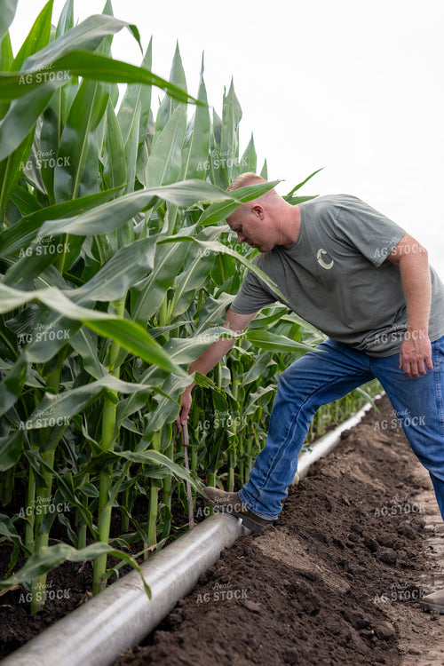 Farmer Checking Gated Irrigation Pipe 65877